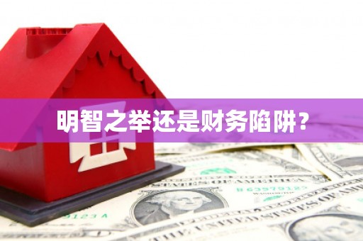 昌乐明智之举还是财务陷阱？
