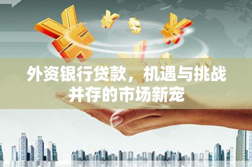昌乐外资银行贷款，机遇与挑战并存的市场新宠