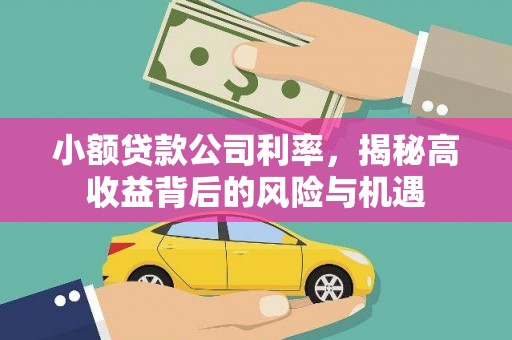昌乐小额贷款公司利率，揭秘高收益背后的风险与机遇