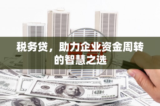 昌乐税务贷，助力企业资金周转的智慧之选