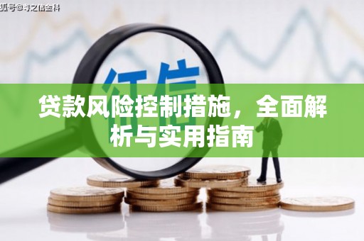 昌乐贷款风险控制措施，全面解析与实用指南