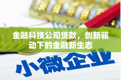 昌乐金融科技公司贷款，创新驱动下的金融新生态