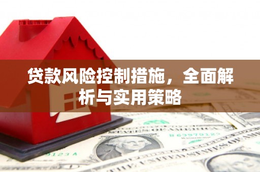 昌乐贷款风险控制措施，全面解析与实用策略