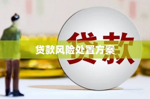 昌乐贷款风险处置方案