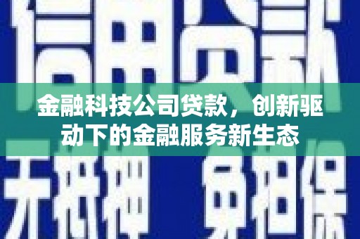 昌乐金融科技公司贷款，创新驱动下的金融服务新生态