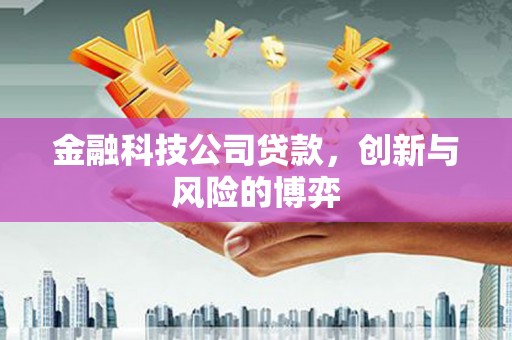 昌乐金融科技公司贷款，创新与风险的博弈