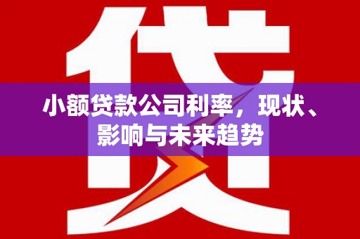 昌乐小额贷款公司利率，现状、影响与未来趋势