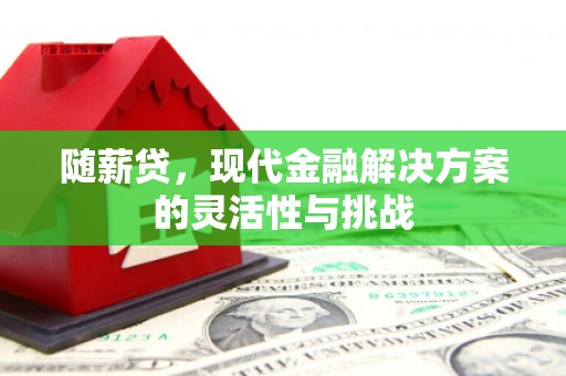 昌乐随薪贷，现代金融解决方案的灵活性与挑战