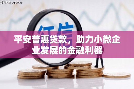 昌乐平安普惠贷款，助力小微企业发展的金融利器
