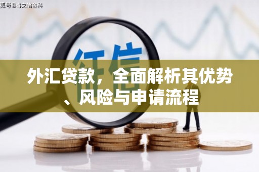 昌乐外汇贷款，全面解析其优势、风险与申请流程