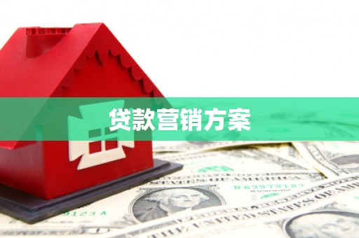 昌乐贷款营销方案