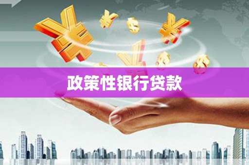 昌乐政策性银行贷款