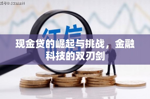 昌乐现金贷的崛起与挑战，金融科技的双刃剑