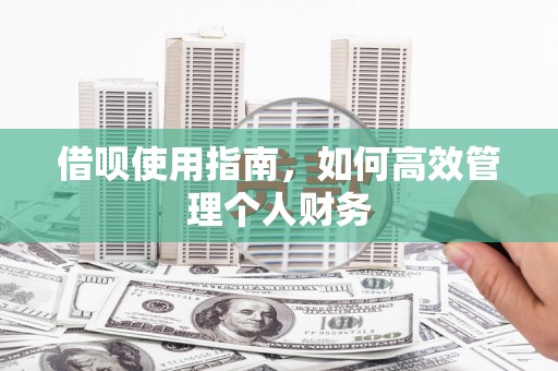 昌乐借呗使用指南，如何高效管理个人财务