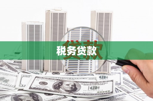 昌乐税务贷款