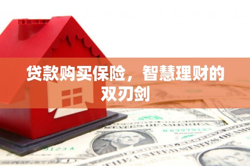 昌乐贷款购买保险，智慧理财的双刃剑