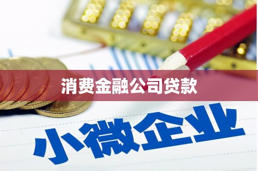 昌乐消费金融公司贷款