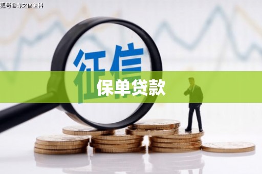 昌乐保单贷款