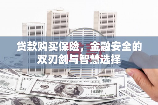 昌乐贷款购买保险，金融安全的双刃剑与智慧选择