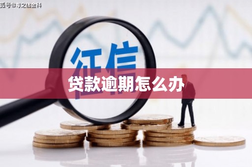 昌乐贷款逾期怎么办
