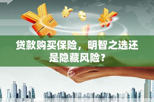 昌乐贷款购买保险，明智之选还是隐藏风险？