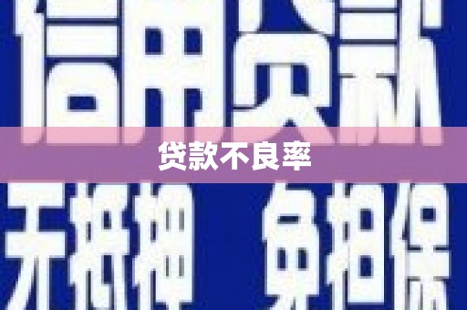 昌乐贷款不良率