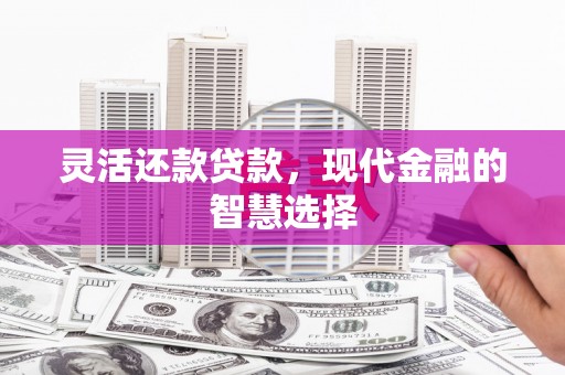 昌乐灵活还款贷款，现代金融的智慧选择