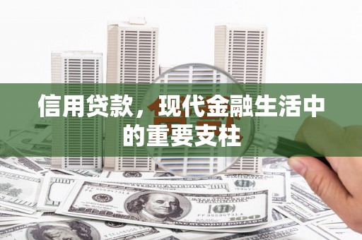 昌乐信用贷款，现代金融生活中的重要支柱