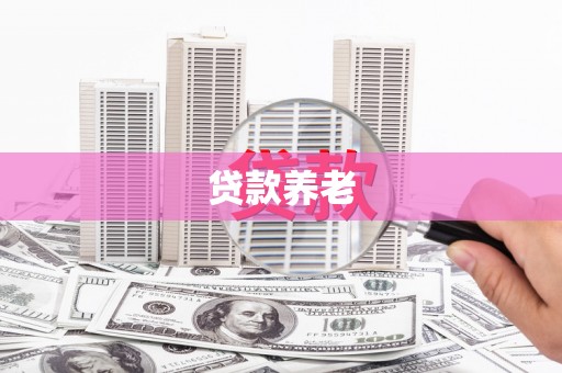 昌乐贷款养老