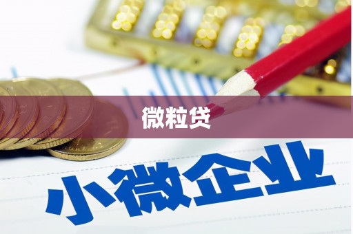 昌乐微粒贷