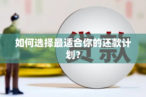昌乐如何选择最适合你的还款计划？