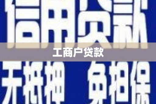 昌乐工商户贷款