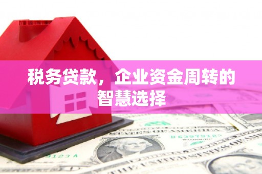 昌乐税务贷款，企业资金周转的智慧选择