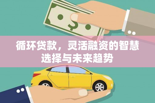 昌乐循环贷款，灵活融资的智慧选择与未来趋势