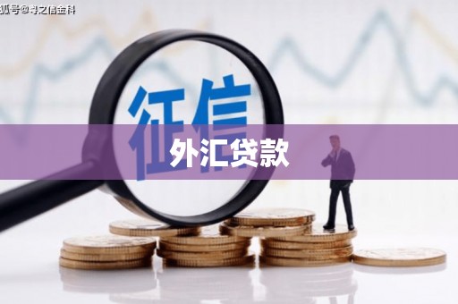昌乐外汇贷款