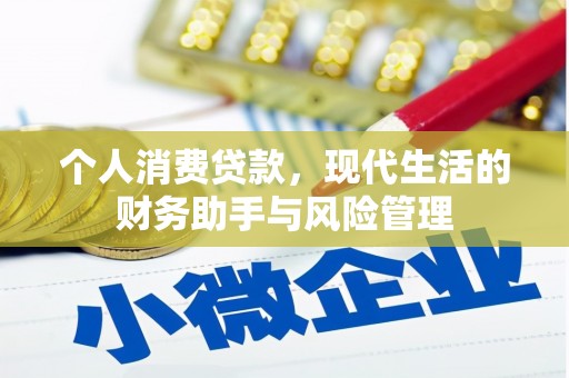 昌乐个人消费贷款，现代生活的财务助手与风险管理