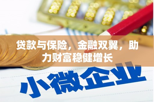 昌乐贷款与保险，金融双翼，助力财富稳健增长