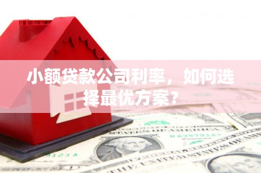 昌乐小额贷款公司利率，如何选择最优方案？