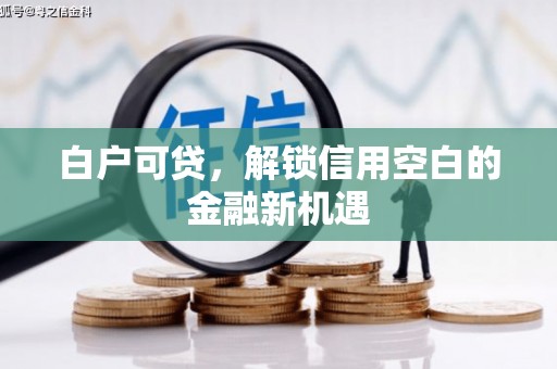 昌乐白户可贷，解锁信用空白的金融新机遇