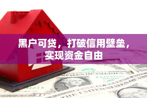 昌乐黑户可贷，打破信用壁垒，实现资金自由