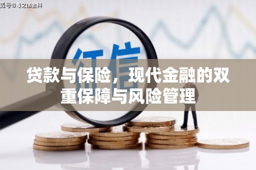 昌乐贷款与保险，现代金融的双重保障与风险管理
