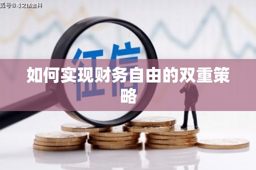 昌乐如何实现财务自由的双重策略
