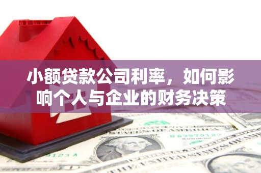 昌乐小额贷款公司利率，如何影响个人与企业的财务决策