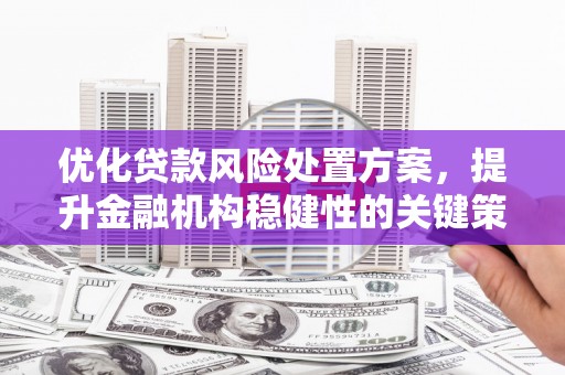 昌乐优化贷款风险处置方案，提升金融机构稳健性的关键策略