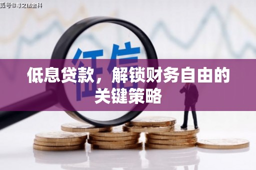 昌乐低息贷款，解锁财务自由的关键策略