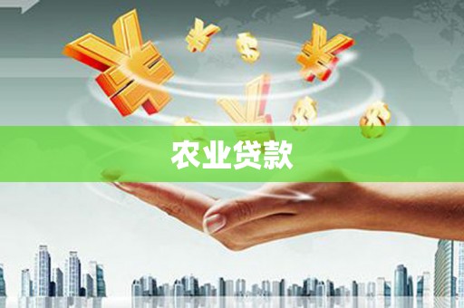 昌乐农业贷款