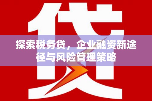 昌乐探索税务贷，企业融资新途径与风险管理策略