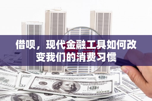 昌乐借呗，现代金融工具如何改变我们的消费习惯