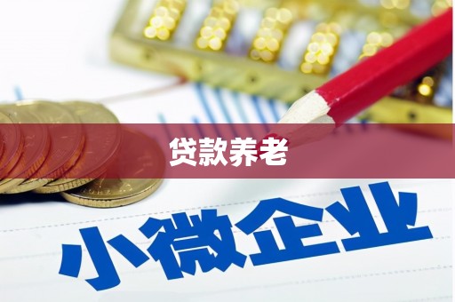 昌乐贷款养老