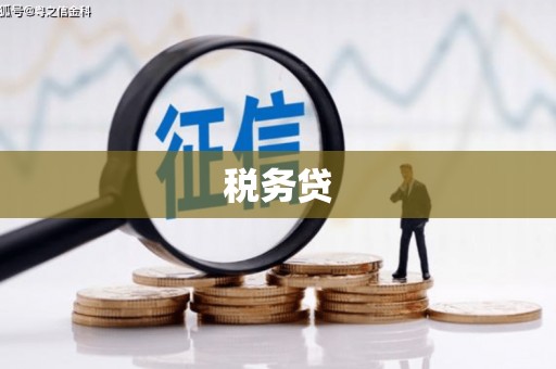 昌乐税务贷